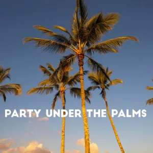Ibiza Dance Party - Sunrays
