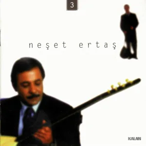 Neşet Ertaş - Dağlar Dağladı Beni