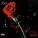 Raá - Let Me Talk to You