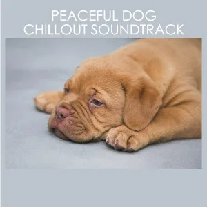 Dog Chillout Zone - Cuddles, Kisses, Relaxation