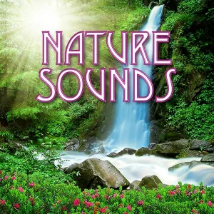 Nature’s Rhythms - Friendly Bird Song for Deep Relaxation and Spiritual Awareness