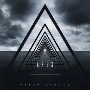 NINJA TRACKS - Reticence