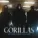 Svyat Barbara, BUBBLEBOOM39, БОЛЬШОЙ - Gorillas