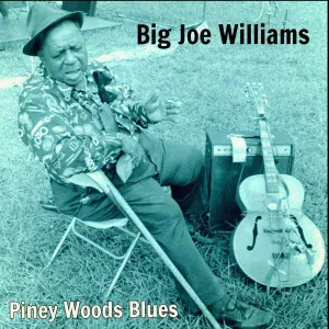 Big Joe Williams - Baby, Please Don't Go
