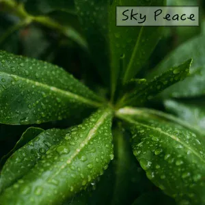 Rain Sounds - Yoga Rainfall