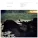 Fleet Foxes - I Am All That I Need / Arroyo Seco / Thumbprint Scar
