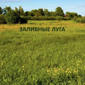 Ольга Паромова - Не было слов о любви