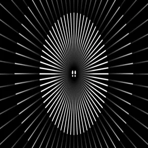 Mowree - Into The Night (Original Mix)