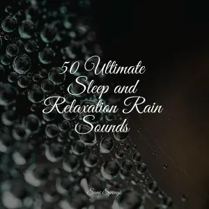 Meditation Relaxation Club, Relaxing Sleep Sound, Ambient Forest - Forest, Birds, River