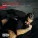 Benzino feat. L.O. - Love (feat. L.O.)