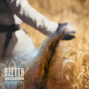 Dzetta - Притяжение