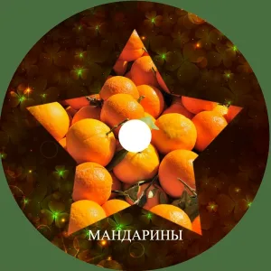 ЦВЕТОМУЗЫКА - Поцелуи