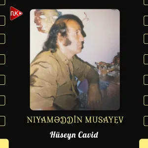 Niyaməddin Musayev - Hüseyn Cavid