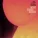 Tom Misch, Yussef Dayes - What Kinda Music