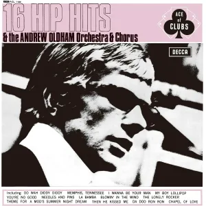 Andrew Oldham Orchestra & Chorus - I Want To Hold Your Hand