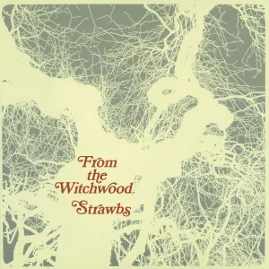 Strawbs - Flight
