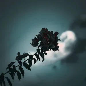 Gibran Alcocer - Idea 12