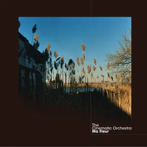 The Cinematic Orchestra feat. Fontella Bass - Breathe