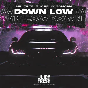 Hr. Troels, Felix Schorn - Down Low