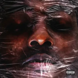 Ace Hood - My Blower