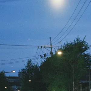 blue noon - i'm not going anywhere