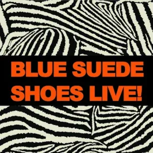 Big Joe Turner - Shake, Rattle & Roll (Live)
