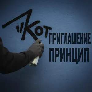 Кот - Приглашение принцип