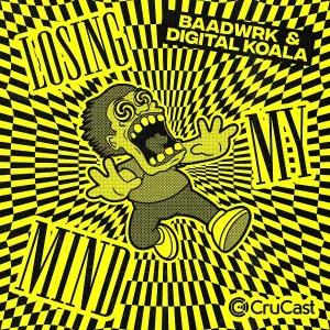 Digital Koala, Baadwrk - Losing My Mind