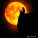 Edgar Tuniyants - Moonlit Night