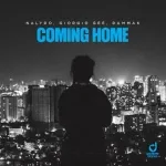 NALYRO, Giorgio Gee, Dammak - Coming Home