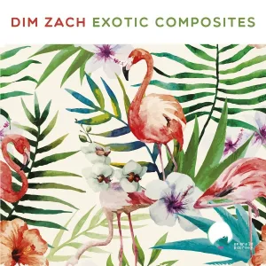 Dim Zach - Discomare Sex