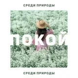 Группа большего спокойствия - Позитивные аффирмации