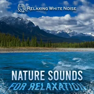 Relaxing White Noise - Campfire + Ocean Waves (Loop, No Fade)