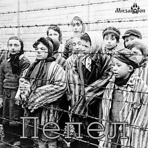Мизантроп - Пепел