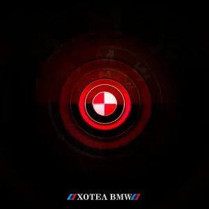 ДЯДЯДИ - Хотел BMW