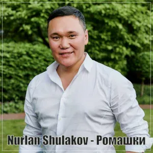 Nurlan Shulakov - Ромашки