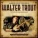 Walter Trout - Sweet As A Flower