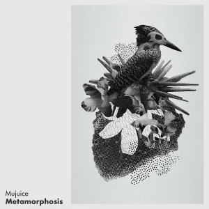 Mujuice - Jackdaw Valse