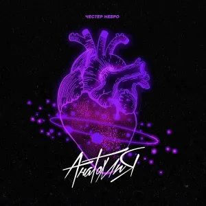 Честер Небро - Анатомия