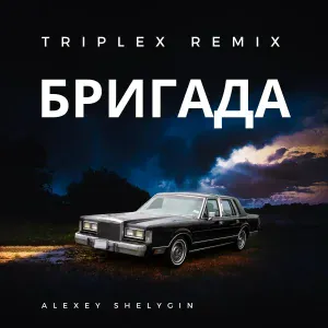Alexey Shelygin - Бригада (Triplex remix)