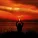 Massage Music, Best Relaxing SPA Music, Music for Reading - Spa Music