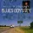 Elmore James - Dust My Broom