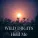 Wild Djigits - Hold Me