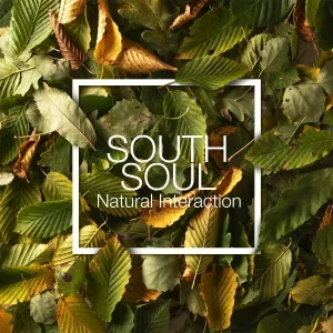 South Soul - Ebb Tide