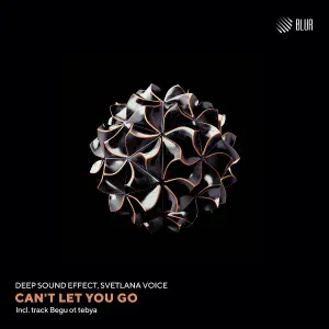 Deep Sound Effect, Svetlana Voice - Can't let you go