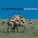 Bloodhound Gang - The Bad Touch