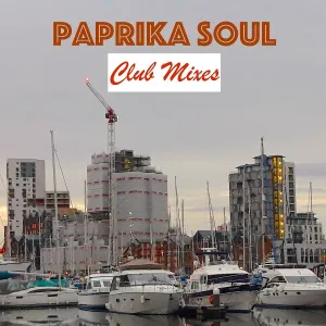 Paprika Soul feat. Sarah Newell - Try My Side of Love (R & B Mix)