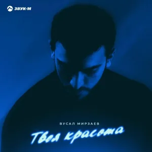 Вусал Мирзаев - Твоя красота
