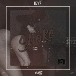 DZYZ - Shake