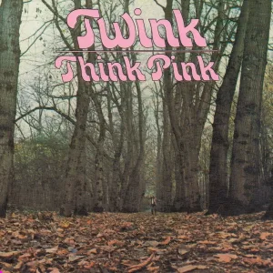 Twink - Ten Thousand Words In a Cardboard Box